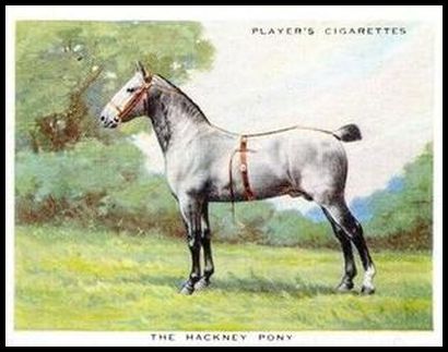 11 The Hackney Pony